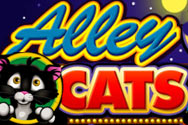 New game review of Alley Cats video slot
