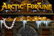 New game review of Arctic Fortune video slots