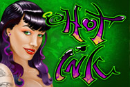 New game review of Hot Ink video slots