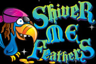 New game review of Shiver Me Feathers video slot