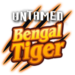 New game review of Untamed Bengal Tiger video slot 