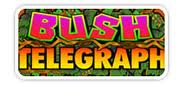 New game review of Bush Telegraph video slots