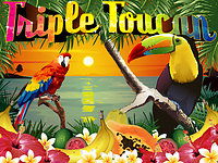 New game review of Triple Toucan video slot