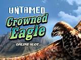 New game review of Untamed Crowned Eagle video slot 